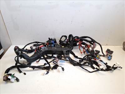 Dacia duster (P1310) kábelköteg