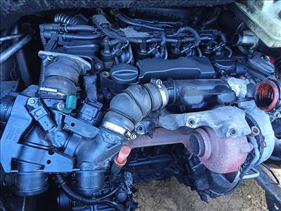  1.6 hdi tdci motor. 9hz 9hx 9hy stb...  9hz9hy9hx