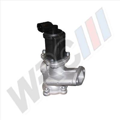 EGR szelep Fiat Doblo Panda Punto Grande Punto 1.3D 1.3JTD 7.00020.24.0
