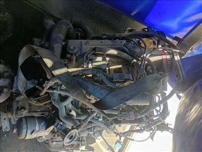 Eladó Opel 1.7 DTI /Y17DT; ISUZU/ Motor (Fűzött blokk hengerfejjel)!
