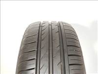 Nexen N Blue Premium 195/65 R15 