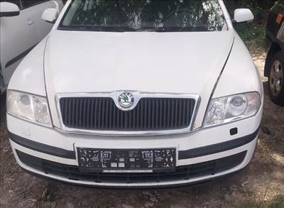 Skoda Octavia II bontott alkatrészei 1.9pdtdi 4x4 BXE