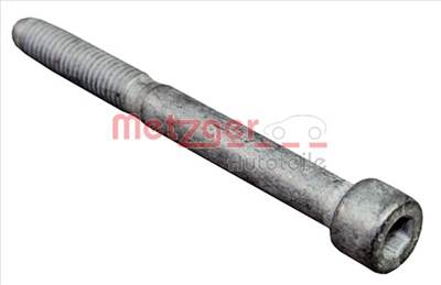 METZGER 0870135S - Csavar, befecskendező fúvóka tartó CITROËN DS FORD FORD USA PEUGEOT