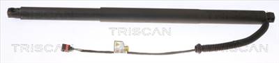 TRISCAN 8710 29304 - csomagtérajtó teleszkóp SEAT VW