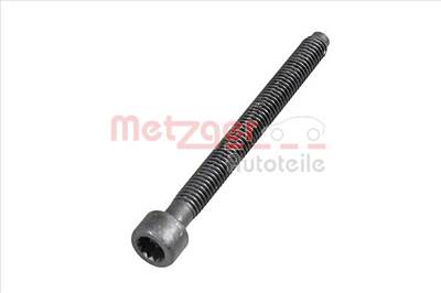 METZGER 0872003S - Csavar, befecskendező fúvóka tartó AUDI SEAT SKODA VW