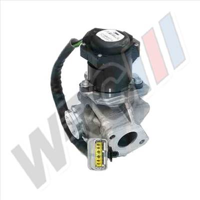 EGR Szelep Volvo C30, S40, S80, V50, V70 30711096