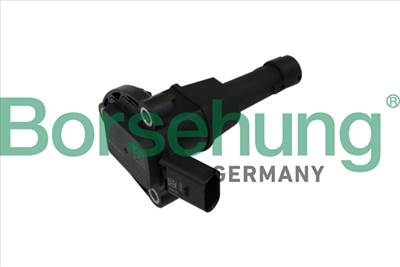 Borsehung B11841 - motorolaj szint jeladó AUDI SEAT SKODA VW