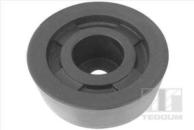 TEDGUM 00466569 - Csapágy, differenciál NISSAN