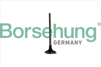 Borsehung B10334 - Szívószelep BMW MINI