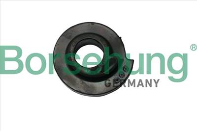 Borsehung B19069 - Toronycsapágy AUDI