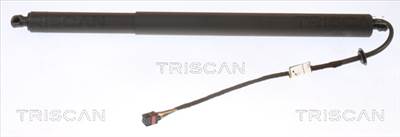 TRISCAN 8710 43301 - csomagtérajtó teleszkóp HYUNDAI