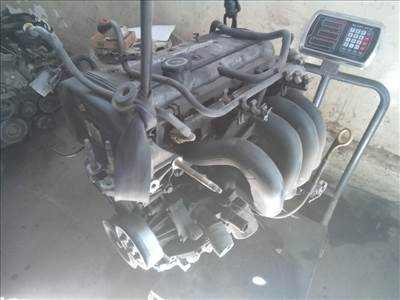 FORD FOCUS 98-04 Motor. benzin fűzött blokk hengerfejjel