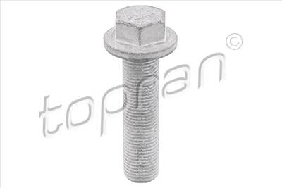 TOPRAN 701 617 - szíjtárcsa csavar RENAULT