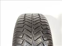 Sava Adapto HP 195/65 R15 