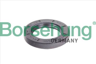 Borsehung B12191 - sebességváltó tömítőgyűrű AUDI SEAT SKODA VW