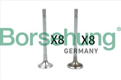 Borsehung B18629 - szelep AUDI SEAT SKODA VW