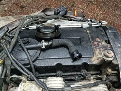 Volkswagen Passat B6 Porlasztó (1 db) *163871*