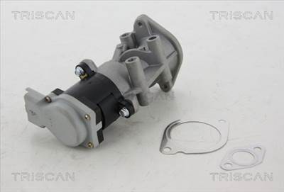 TRISCAN 8813 17008 - AGR-szelep LAND ROVER