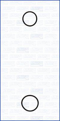 AJUSA 77001900 - vízpumpa tömítéskészlet DACIA NISSAN RENAULT SUZUKI