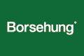 Borsehung B19243 - fötengely szimmering AUDI SEAT SKODA VW