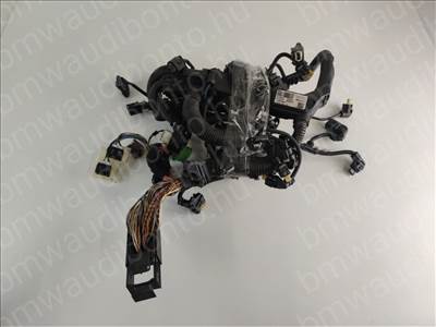 BMW 1 (F20) 114 d B37 Motor kábelköteg (857103907)