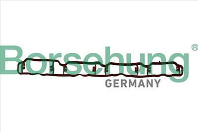 Borsehung B19250 - szívókönyök tömítés AUDI SEAT SKODA SKODA (SVW ) VW