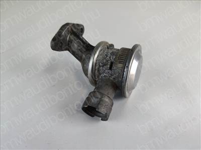 BMW 3 (E46) 316 i N42 EGR/ARG szelep (7553068, 11727553068, 11727505993)