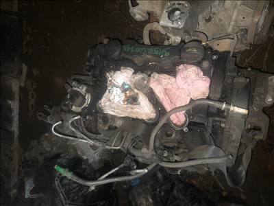 Ford focus 1.6 tdci motor 2008-as