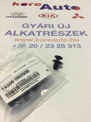 Kia Hyundai patent 1420608250B