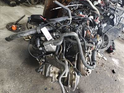 204D4 kódú BMW E83 X3 20D motor
