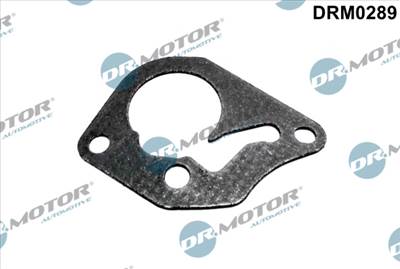 DR.MOTOR AUTOMOTIVE DRM0289 - tömítés, vákuumszivattyú DACIA NISSAN RENAULT