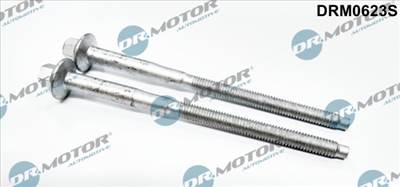 DR.MOTOR AUTOMOTIVE DRM0623S - Csavar, befecskendező fúvóka tartó CITROËN FIAT FORD PEUGEOT