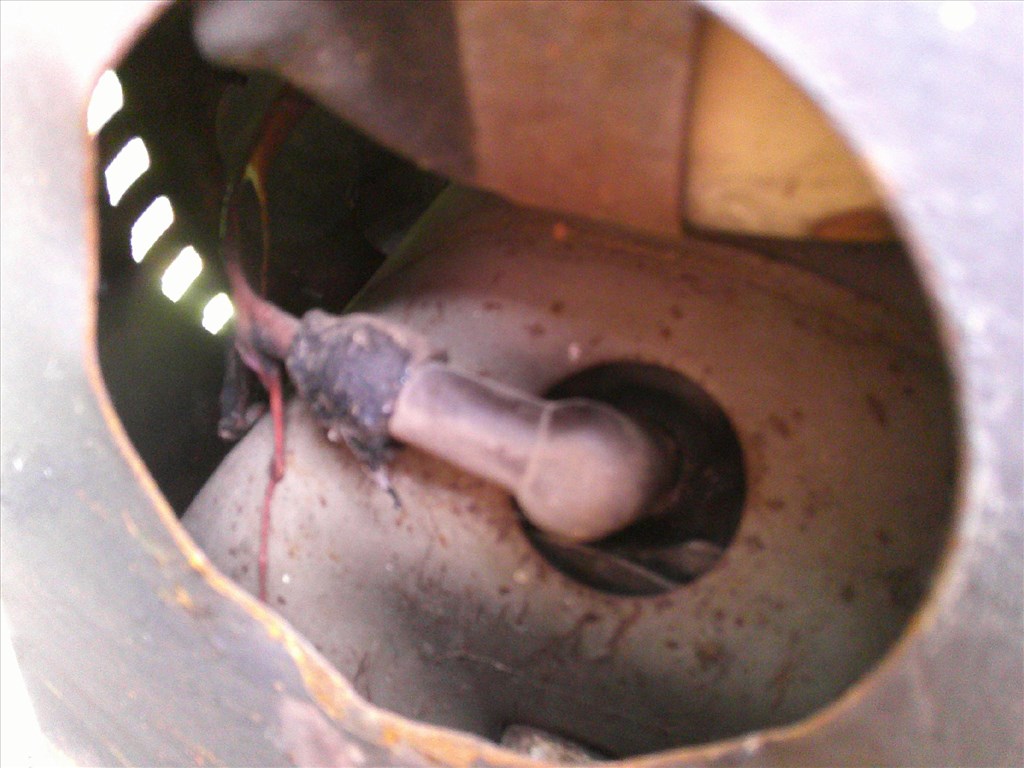 Tatran S125 53. kép