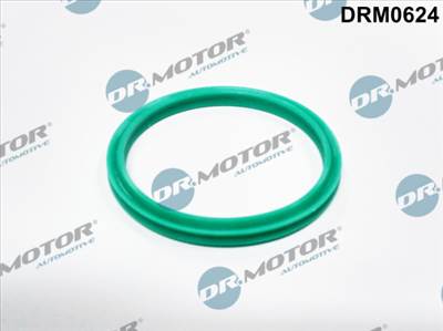 DR.MOTOR AUTOMOTIVE DRM0624 - Tömítőgyűrű, töltőlevegőcső DACIA RENAULT