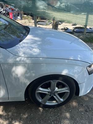 Audi A4 (B8 - 8K) Jobb első sárvédő LY9C