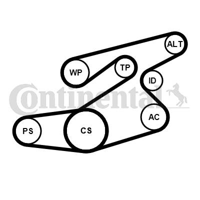 CONTINENTAL CTAM 6PK1836K1 - hosszbordás szíj készlet BMW