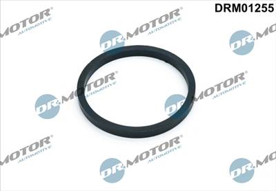 DR.MOTOR AUTOMOTIVE DRM01255 - olajhűtő tömítés AUDI FORD SEAT SKODA VW