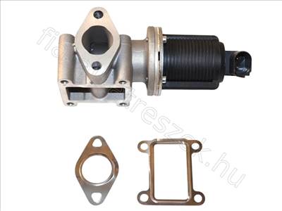 EGR szelep FIAT BRAVO 07> 1.9JTD 2-PIN - 9-5, BRAVO, CROMA, THESIS, VECTRA, BLS - FT60239, 46823850 -  - Fastoriginal Utángyártott új 46823850