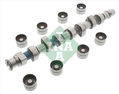 vezérműtengely készlet Schaeffler INA 428 0048 30 for SEAT, VW, AUDI, SKODA