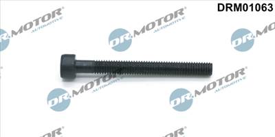 DR.MOTOR AUTOMOTIVE DRM01063 - Csavar, befecskendező fúvóka tartó VW