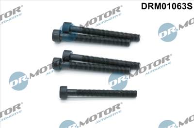 DR.MOTOR AUTOMOTIVE DRM01063S - Csavar, befecskendező fúvóka tartó VW
