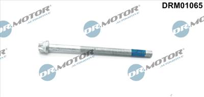 DR.MOTOR AUTOMOTIVE DRM01065 - Csavar, befecskendező fúvóka tartó MERCEDES-BENZ