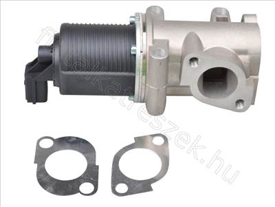 EGR szelep FIAT DOBLO 00> BRAVO 07> 1.9JTD   2 PIN - MAREA, SCUDO, BRAVO, THESIS, STRADA, PALIO - FT60237, 55182482 -  - Fastoriginal Utángyártott új 55182482