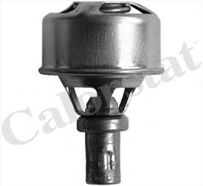 CALORSTAT BY VERNET TH4495.89 - termosztát, hűtőfolyadék DACIA RENAULT VOLVO