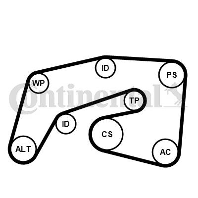 CONTINENTAL CTAM 7PK2035WP1 - Vízszivattyú + bordásszíjkészlet CHRYSLER JEEP MERCEDES-BENZ