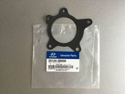 Kia Ceed Venga Hyundai i20 i30 ix20 vízpumpa tömítés 251242B000