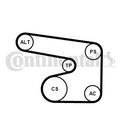 CONTINENTAL CTAM 6PK1900K1 - hosszbordás szíj készlet CHEVROLET DAEWOO OPEL VAUXHALL