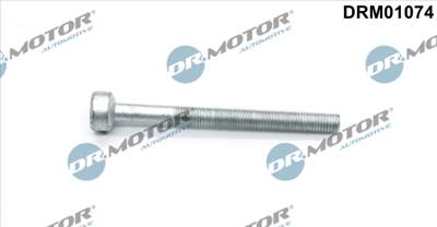 DR.MOTOR AUTOMOTIVE DRM01074 - Csavar, befecskendező fúvóka tartó JEEP MERCEDES-BENZ MERCEDES-BENZ (