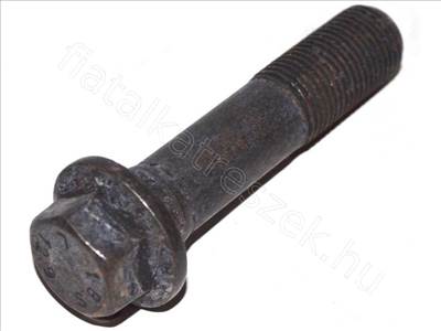 Főtengely csavar - MAREA, BRAVO, PUNTO, BRERA, GT, SPIDER - 7686765, 55221689 -  - FIAT eredeti Eredeti új 7686765
