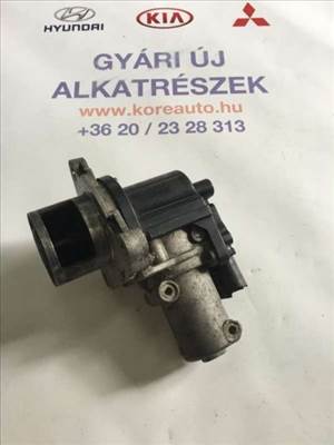 Kia Sorento XM Hyundai Santa Fe DM 2.2 CRDI EGR szelep 284102F000-BON